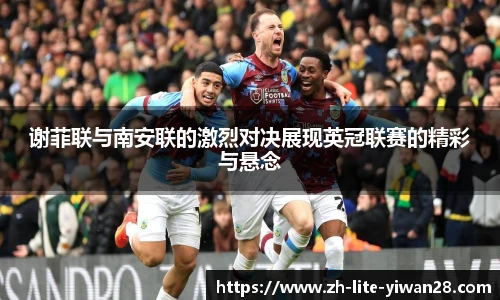 谢菲联与南安联的激烈对决展现英冠联赛的精彩与悬念